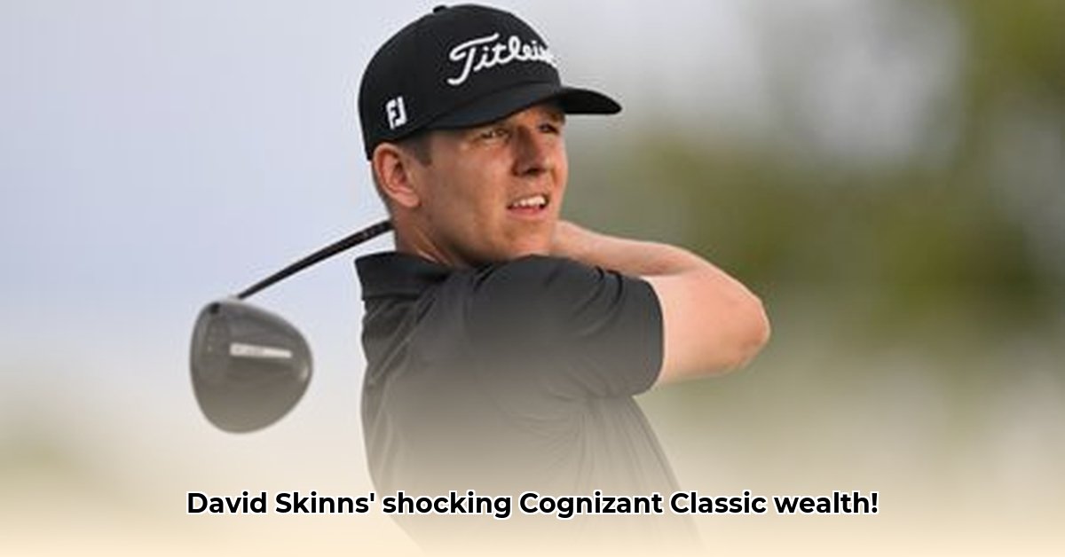 david-skinns-net-worth